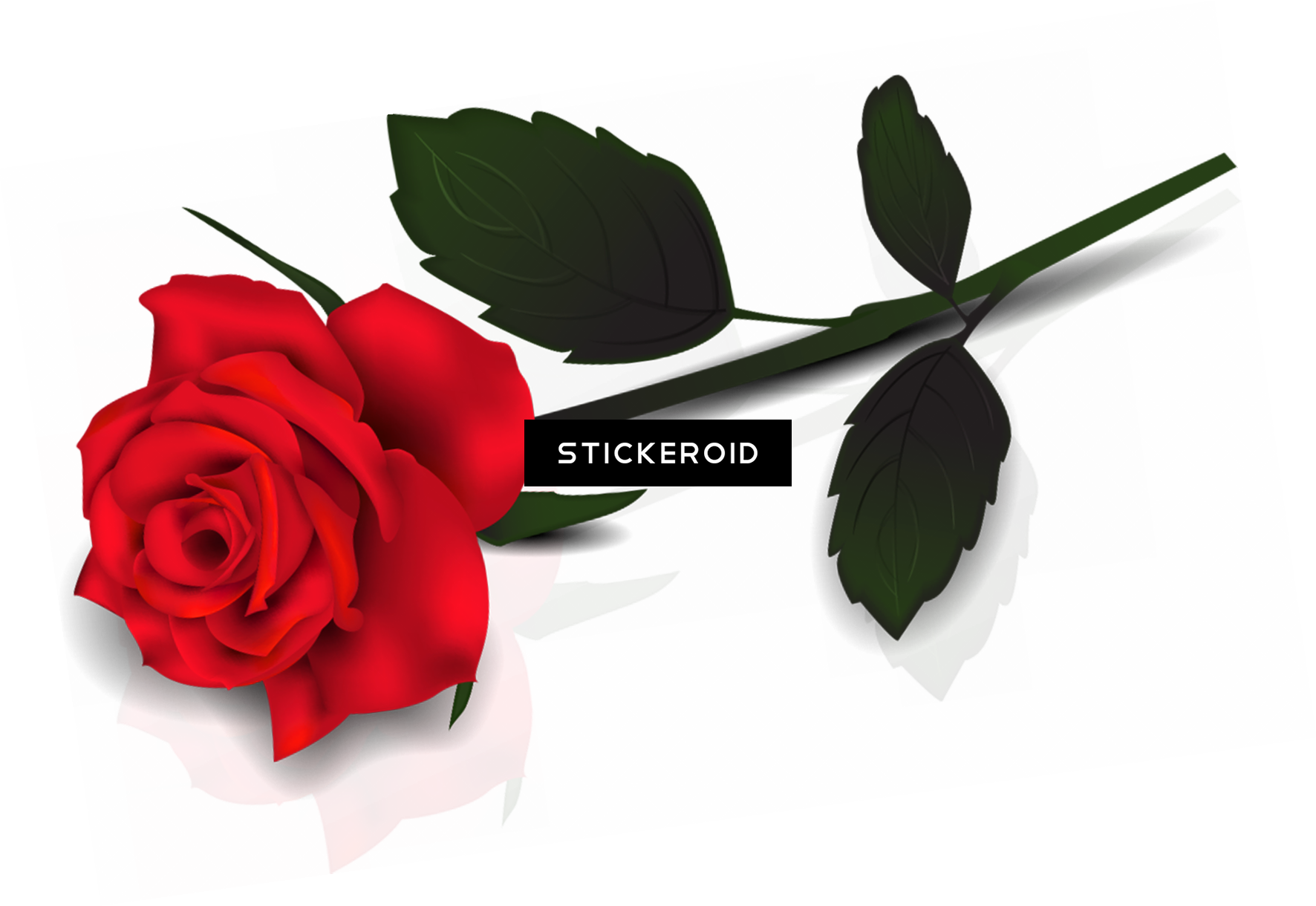 Rose Clipart Transparent Background (1772x1220), Png Download