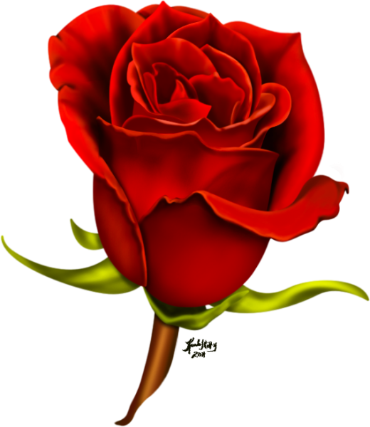 Red Rose - Red Rose For Girl Friend (520x600), Png Download