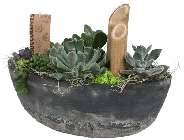 The Succulent Boat - Ontario (600x673), Png Download