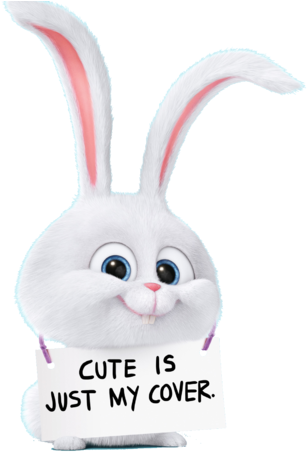 Domestic Rabbit (800x500), Png Download