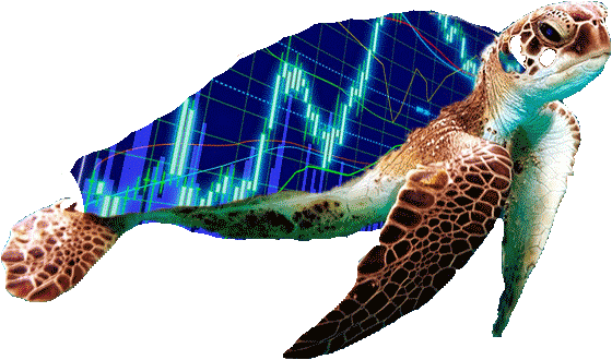 Sure, So One Lazy Sunday Afternoon I Was Hanging Out - Sea Turtle Swimming [book] (560x330), Png Download