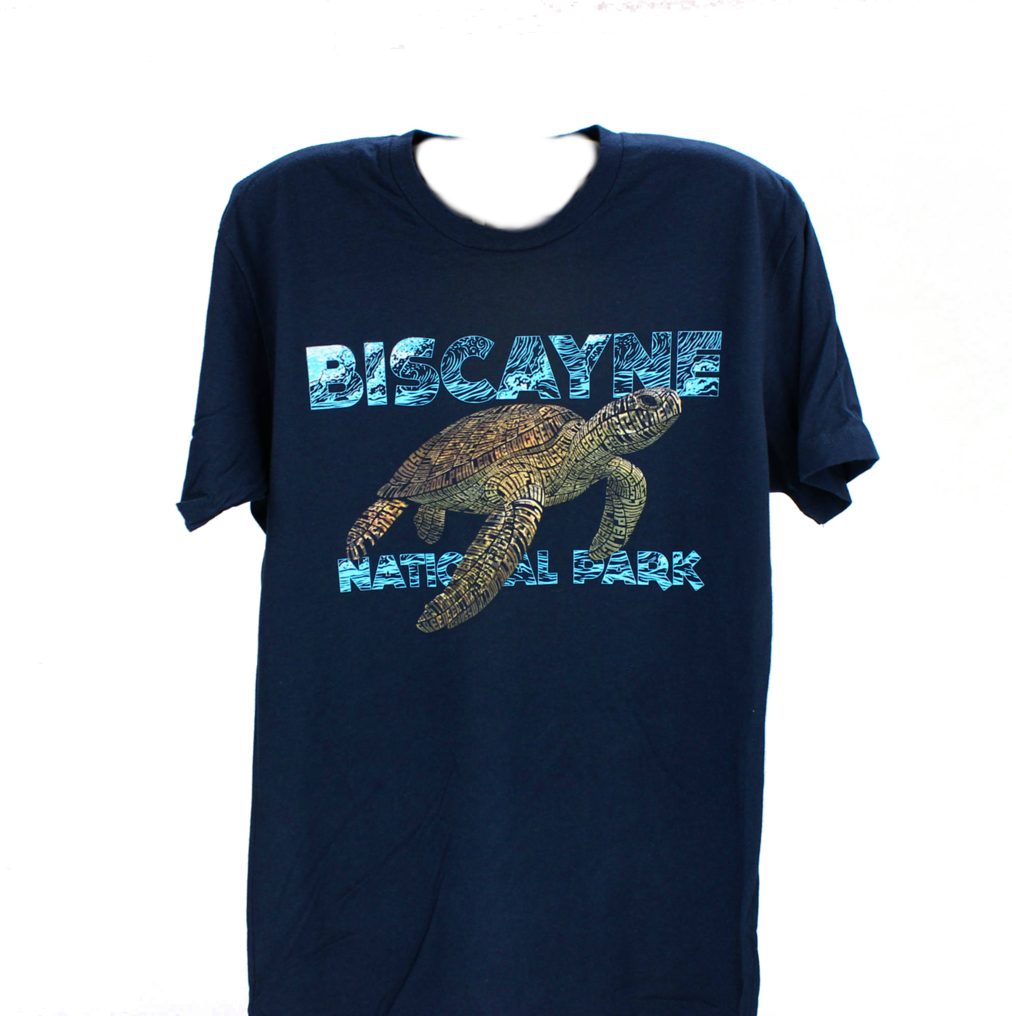 T-shirt Biscayne Turtle Lg - Kemp's Ridley Sea Turtle (2000x2000), Png Download