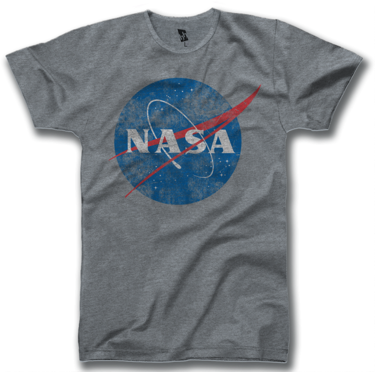Nasa Vintage Logo - Nasa Nasa Logo Pin Badge (800x740), Png Download