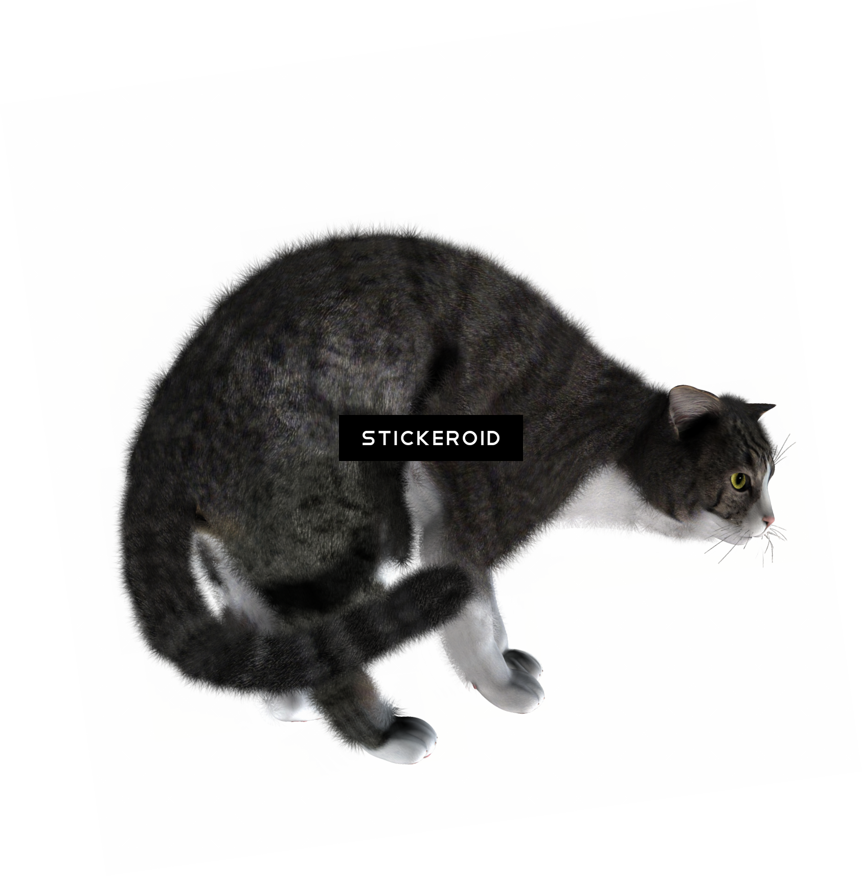 Cat Cats - Gioco Per Gatti 25 Cm Acchiappa Il Topo Duplice Funzione (1686x1712), Png Download