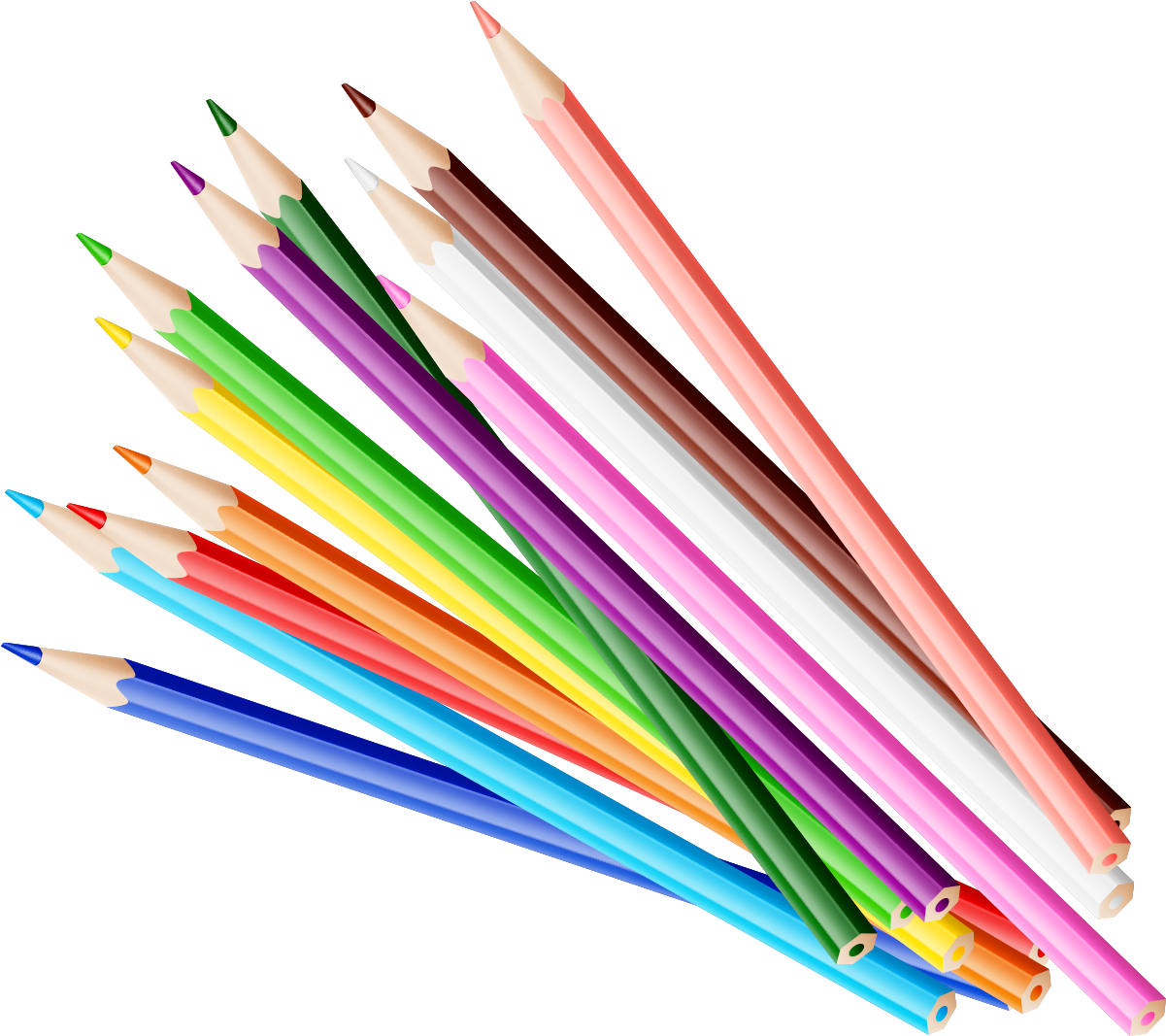Clipart Freeuse Download Case Pencils Transprent Png - Color Pencil Png (1441x1498), Png Download