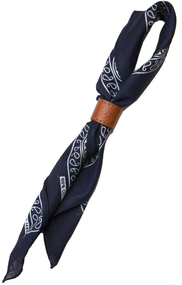 Bandana Slide (1000x1000), Png Download