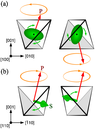 Schematic Plot Of The Q1 Quadrupolar Mode For H∥[100] - Hat (318x428), Png Download