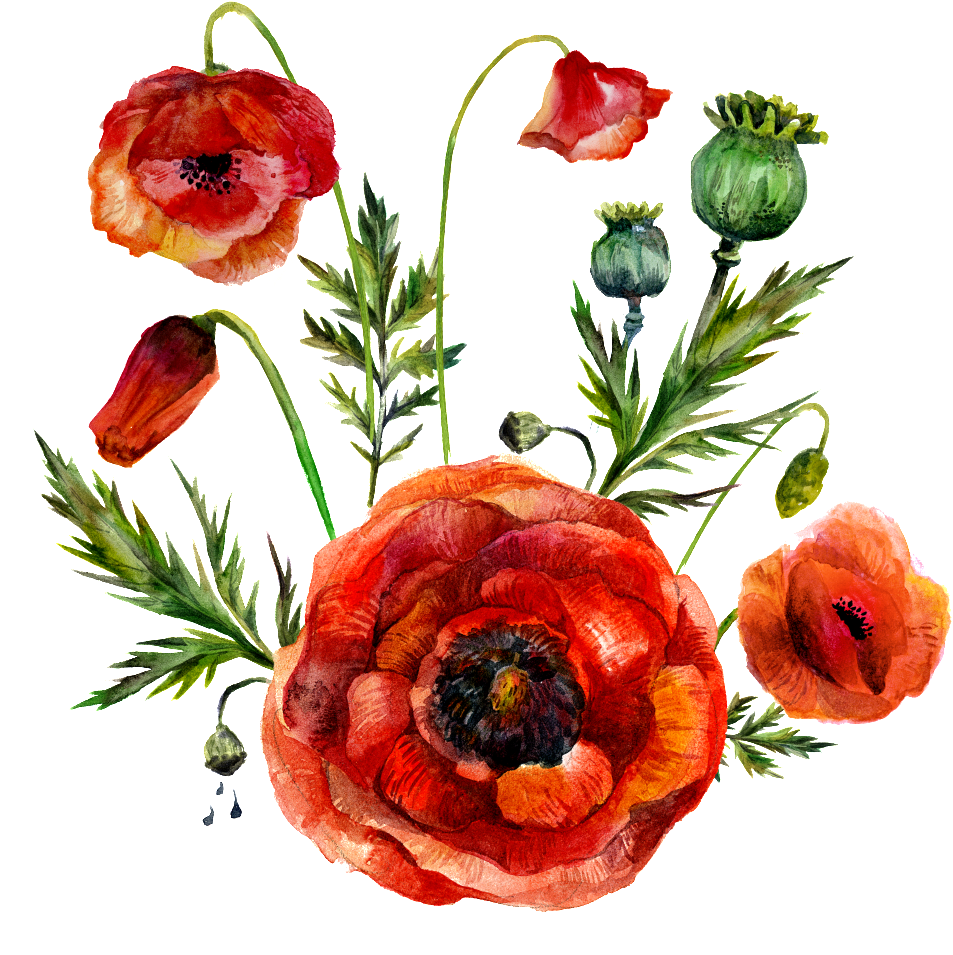 High Definition Flower Picture - Deer Fabric - Deer In Love Christmas Florals With Stripes (1024x1024), Png Download