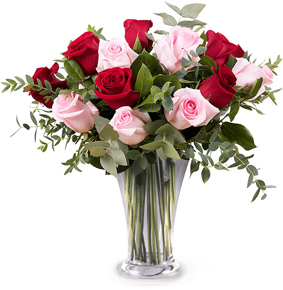 12 Red And Pink Roses - Flower Shop Banner (600x600), Png Download
