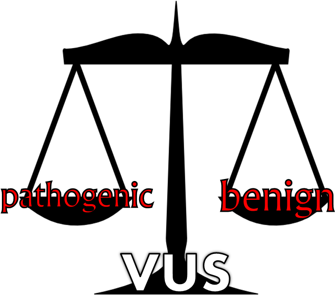 Vus Scale - Scales Of Justice Clip Art (769x697), Png Download