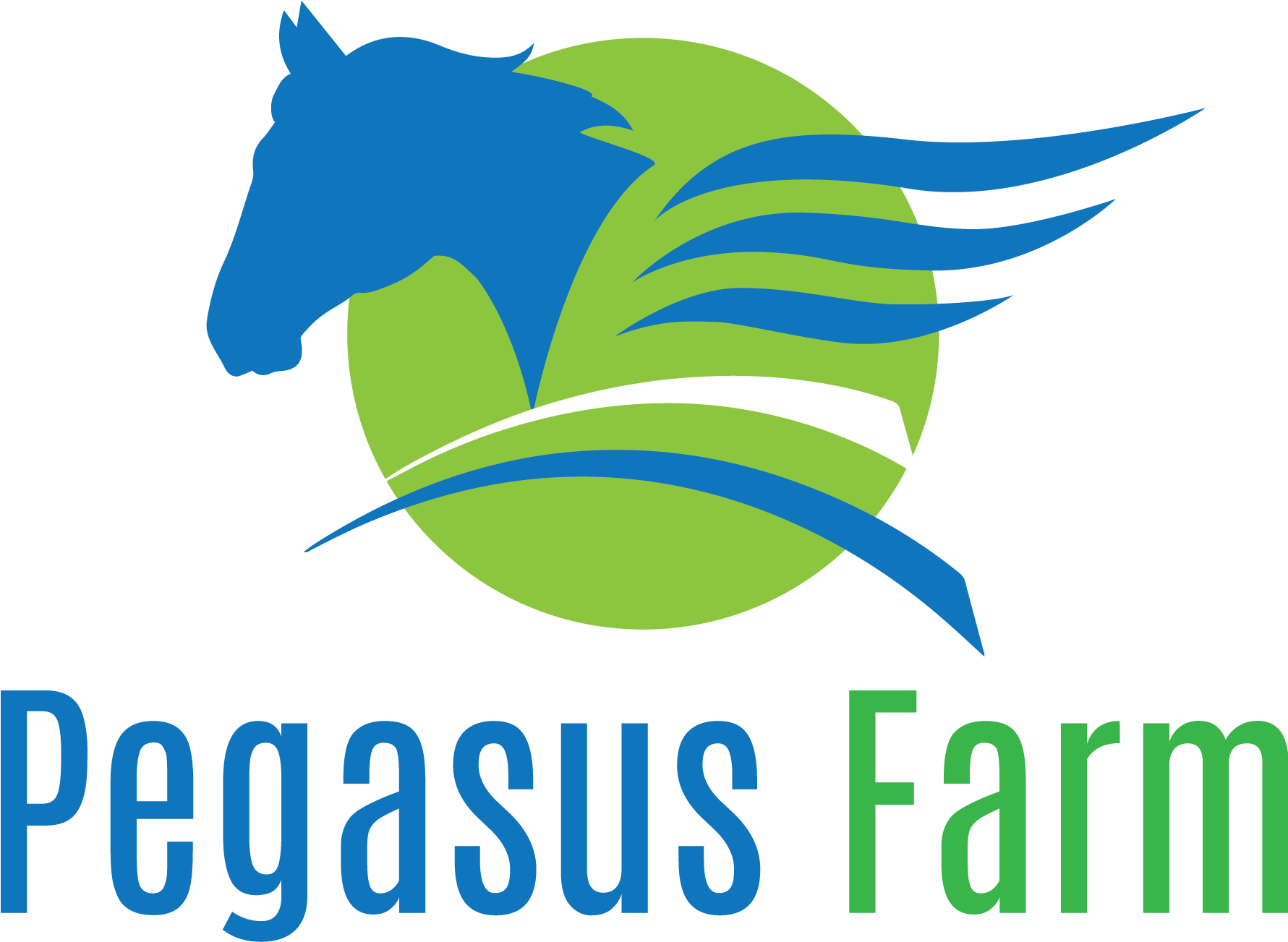 December 11, 2017 - Pegasus Therapeutic Hartville (2100x1800), Png Download