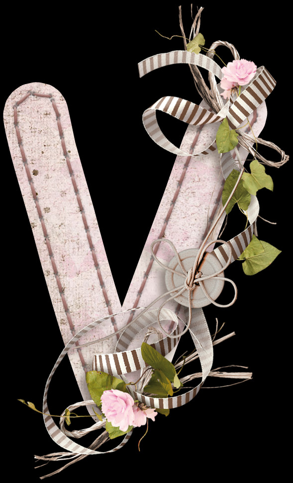 Download For Free This Letter V Transparent Png Image - Still Life Photography (589x971), Png Download