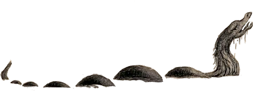 Crocodile (1024x1024), Png Download