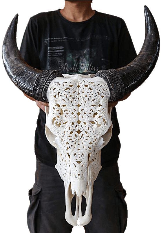 Horn (800x800), Png Download