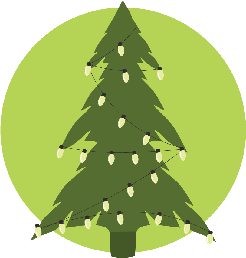 Xmas Tree Icon - Christmas Tree (900x900), Png Download