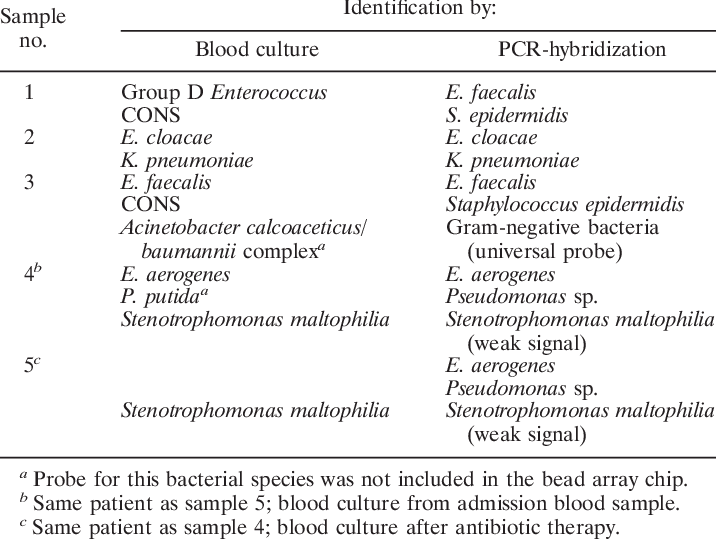 Bacteria Identified By Blood Culture And Pcr-hybridization - Infection (716x539), Png Download