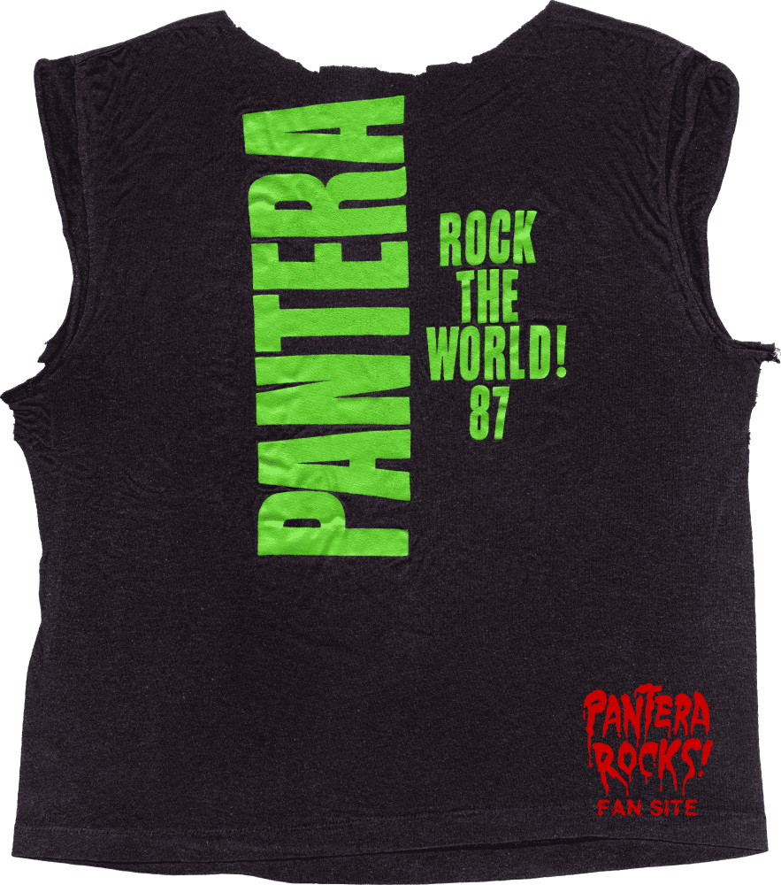 Picture - T Shirt Pantera Rock (883x1000), Png Download