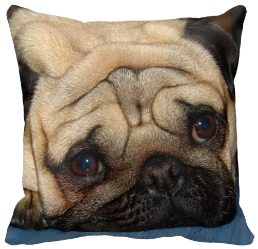 Europug Face Pillow - Zazzle Euro Pug Face Cosmetic Bag (615x615), Png Download
