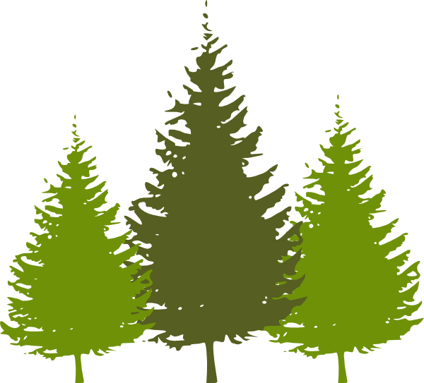 Oregon Clipart Oregon Tree Clipart - Redwood Tree Clipart (600x543), Png Download