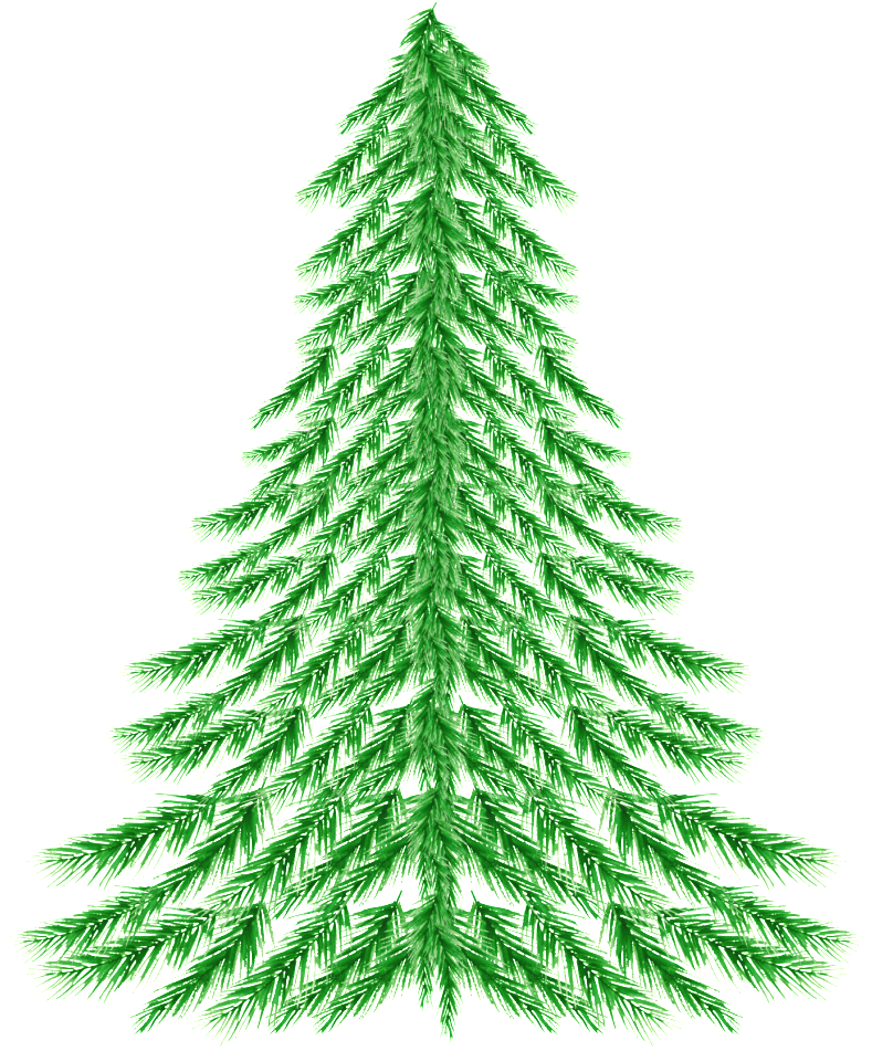 Pine (1024x1024), Png Download