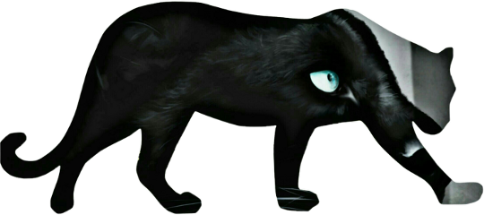 Srcpanther Panther Pantera Participaen17h - Leopard (540x240), Png Download