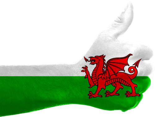 Britain - Flag Of Wales (500x378), Png Download