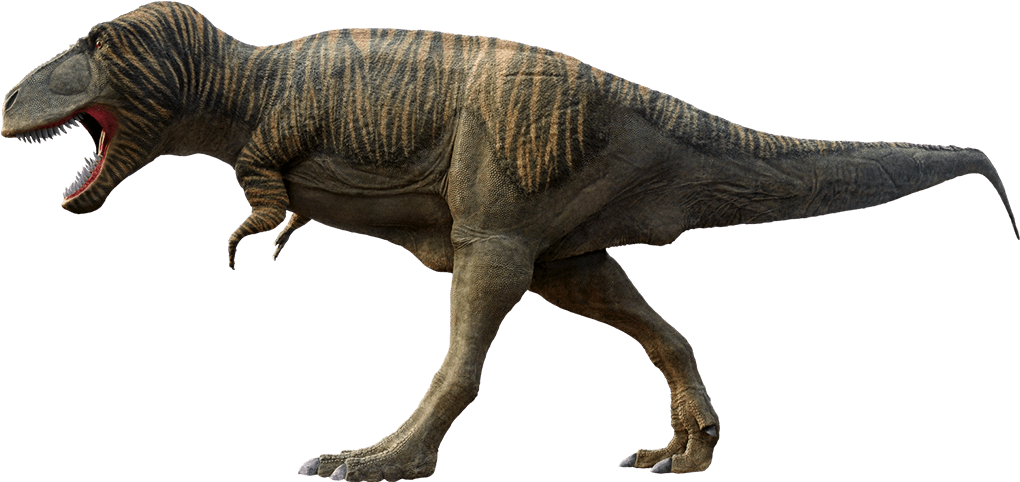 T - Rex - Tyrannosaurus Rex Fell (1040x481), Png Download