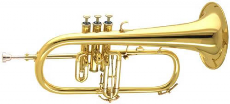 Marching Band Instruments For International Celebrations - Amati Afh 601 (800x800), Png Download