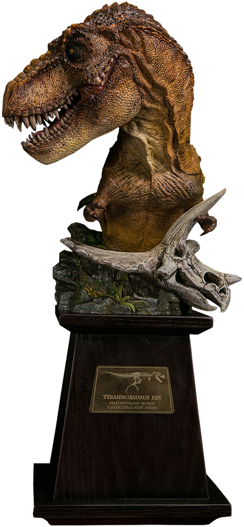 74" Bust T-rex - ティラノサウルス(イエロー) 「paleontogy World」 ミュージアムコレクションシリーズ (480x1036), Png Download