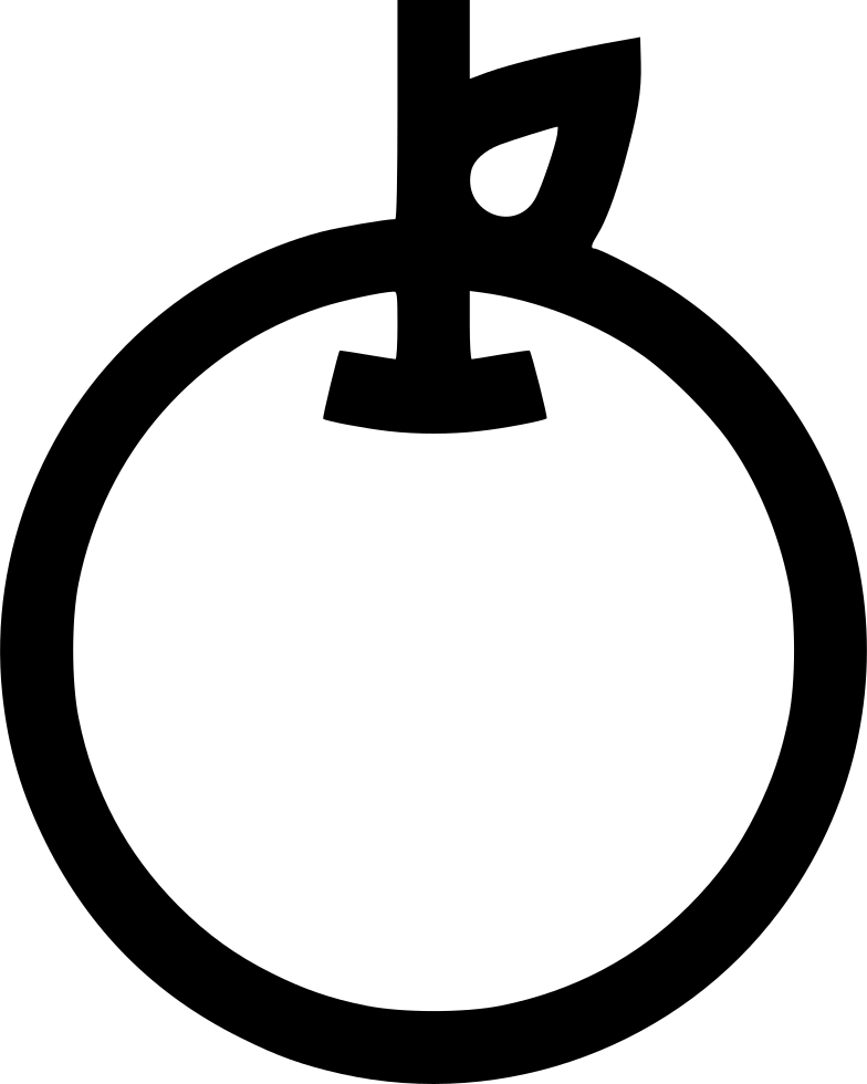 Fruit Apple Training Teacher Diet Nutrition Comments - Symbol For Around (784x980), Png Download