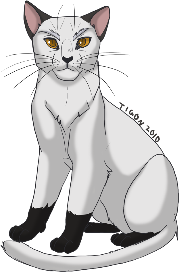 Blackstar By Tigon - Warrior Cats Shadowclan Leader (784x1000), Png Download