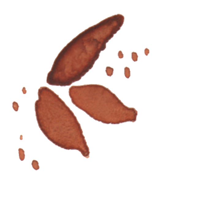 Brown Leaf Watercolor Hand Drawn Transparent - Watercolor Painting (1024x818), Png Download