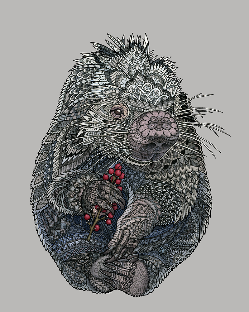 A Prehensile-tailed Porcupine Holding Red Berries, - Watercolor Painting (1000x1000), Png Download