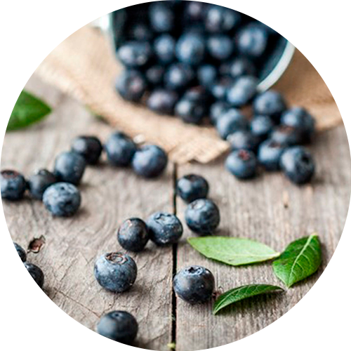 Our Berries - News (500x500), Png Download