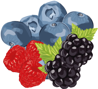 Berries - Food (400x400), Png Download
