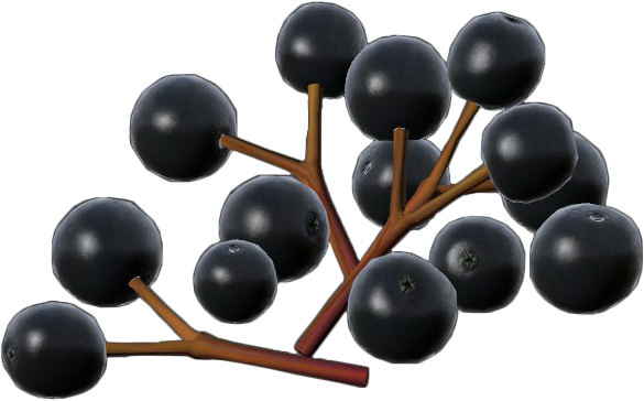 Blue (585x364), Png Download