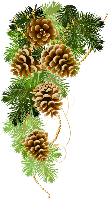 Christmas Graphics, Christmas Clipart, Christmas Ornaments, - Pine Cone Png Christmas (436x800), Png Download