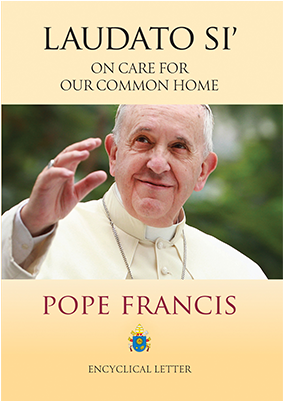Encyclical Letter Laudato Si' Of The Holy Father Francis (1200x400), Png Download