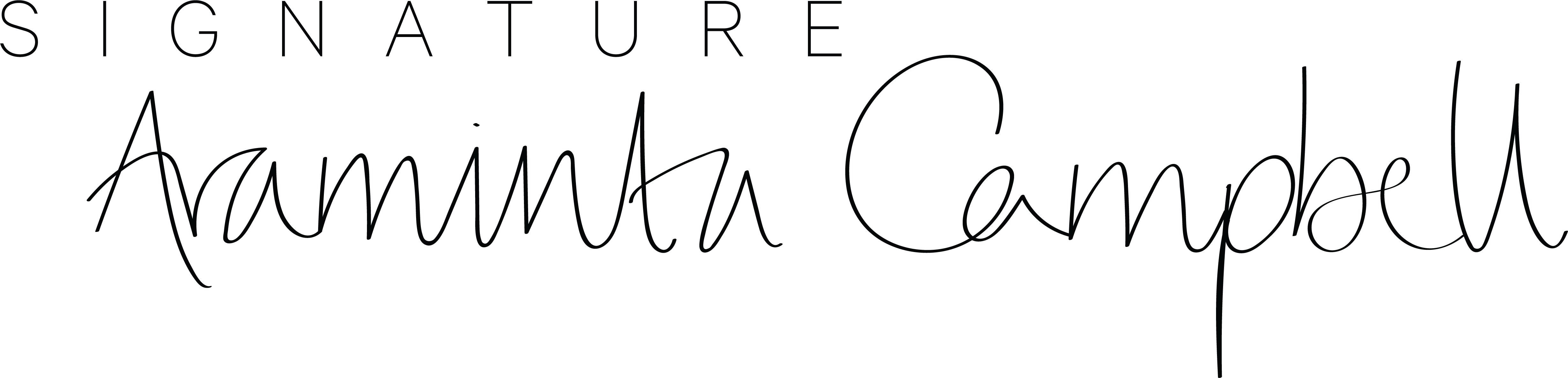 Craftsmanship - Integer (4914x1185), Png Download