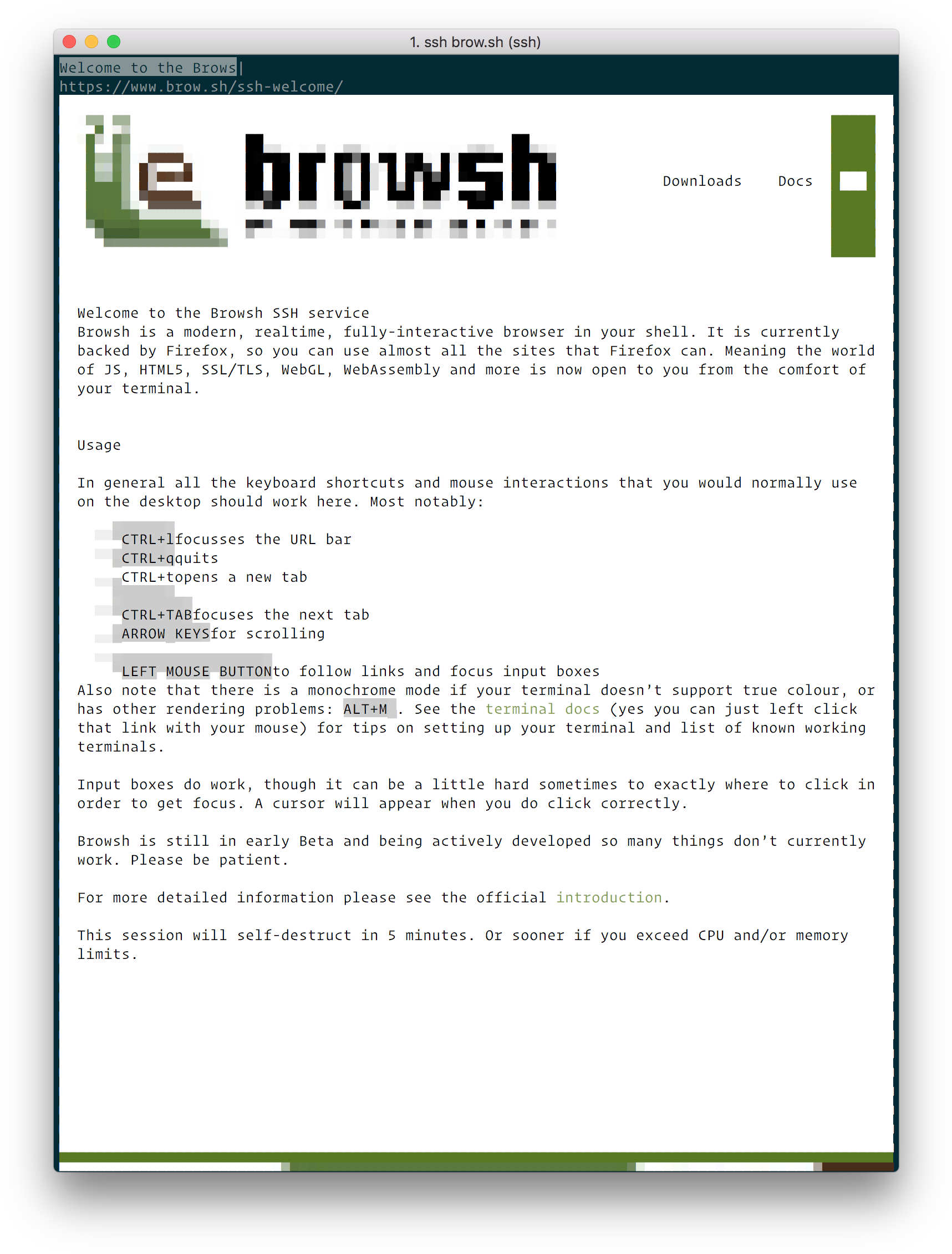 Browsh Homepage - Browsh (1748x2284), Png Download