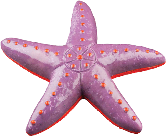 Glofish Ornaments Provides An Ideal Hiding Place For - Glofish 77304 Sea Star Ornament (600x600), Png Download