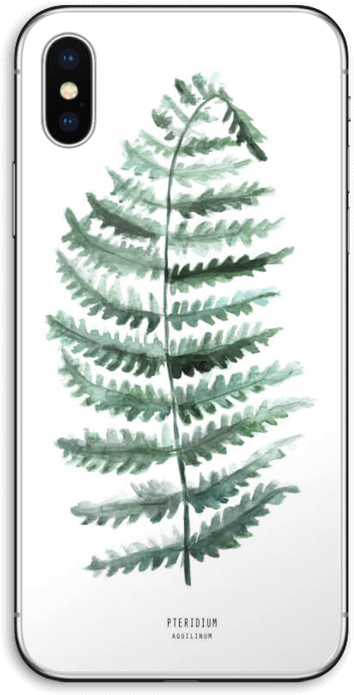 Pteridium Aquilinum - Bracken (395x800), Png Download