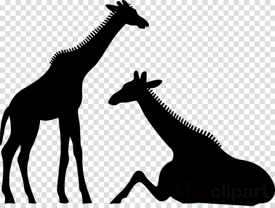 Giraffe Silhouette Sitting Clipart Silhouette The White - Clip Art (900x680), Png Download
