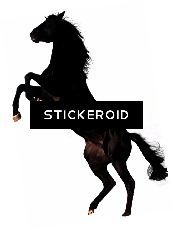 Chess Horse Icon Sport - Horse (553x735), Png Download