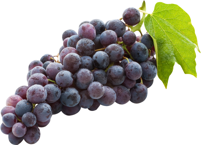 Image18 - Black Grapes (849x565), Png Download