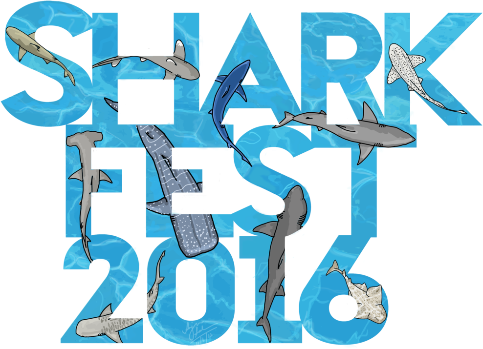 Shark Fest Logo Final (1000x728), Png Download
