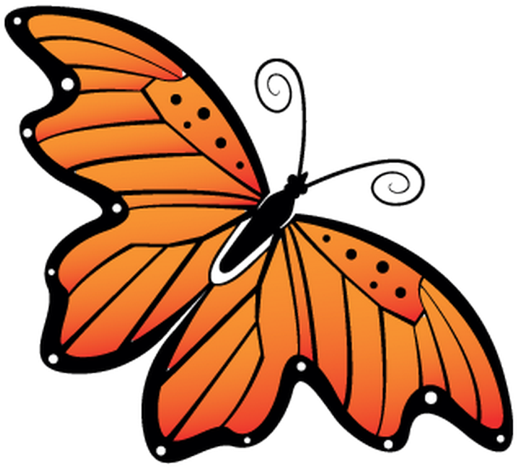 Monarch Butterfly Clipart Monarch Butterfly Pieridae - Butterfly (800x800), Png Download