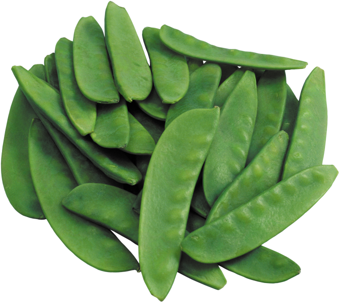 Green Beans - Mini Sementes Peas Vegetable Seeds (866x650), Png Download