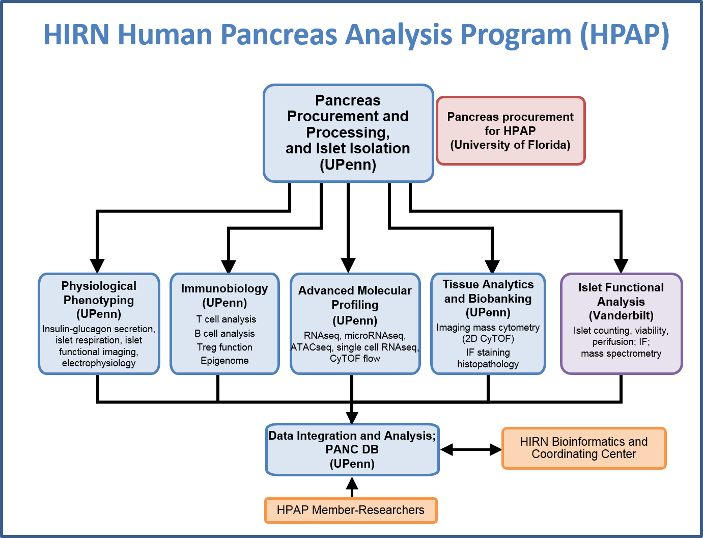 Hirn Human Pancreas Analysis Program - Diagram (1381x1056), Png Download