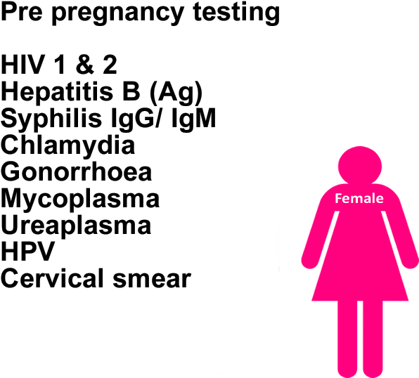 Lomack Sexual Health - Ajuntament De La Senia (620x620), Png Download